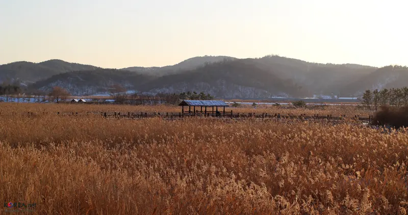 안산갈대습지공원