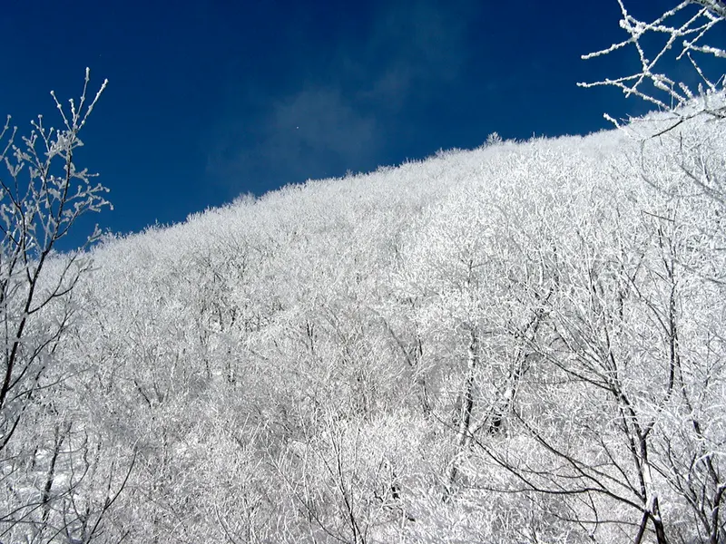 소백산국립공원