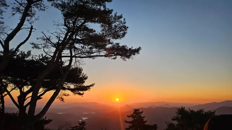 해맞이 행사